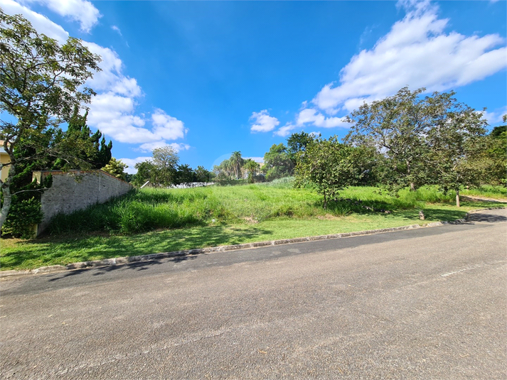 Foto REO1095228