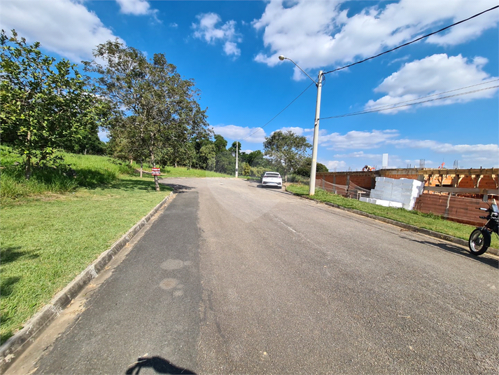 Foto REO1095228