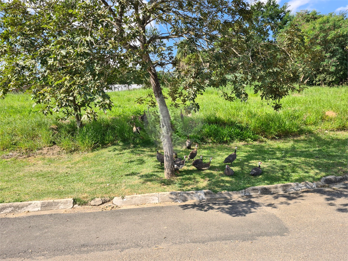 Foto REO1095228