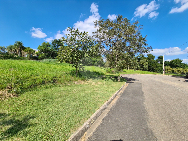 Foto REO1095228