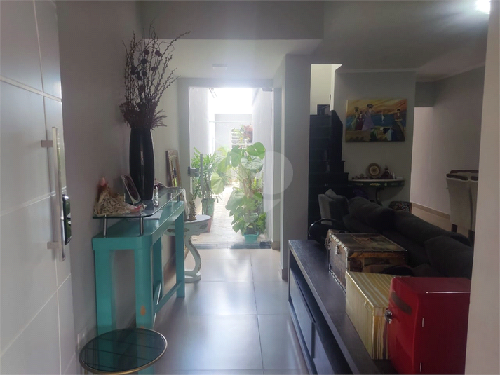 Foto REO1095243