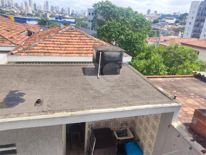 Foto REO1095243