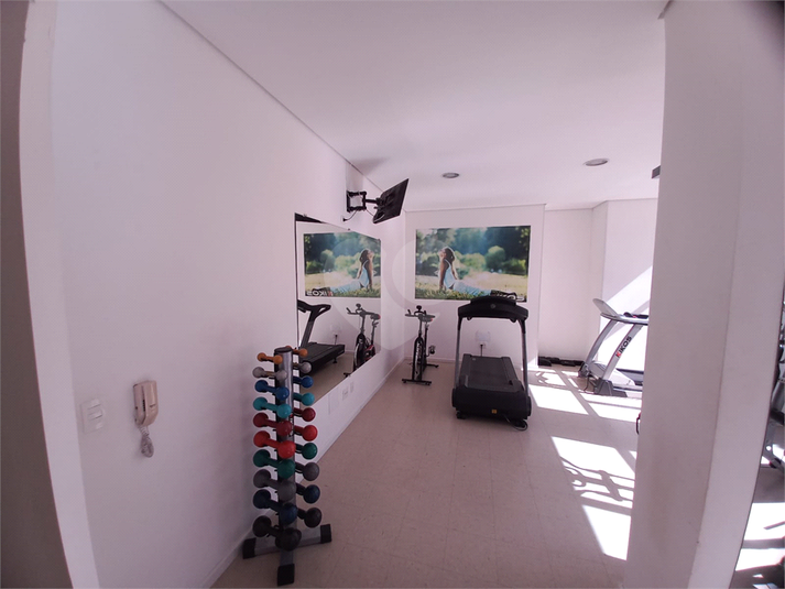 Foto REO1095249