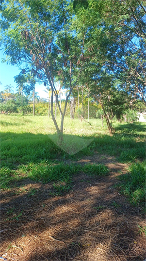 Foto REO1095251