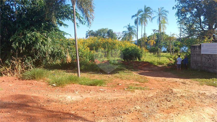 Foto REO1095251