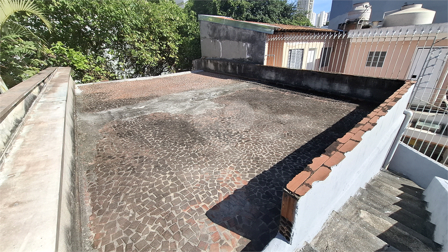 Foto REO1095256