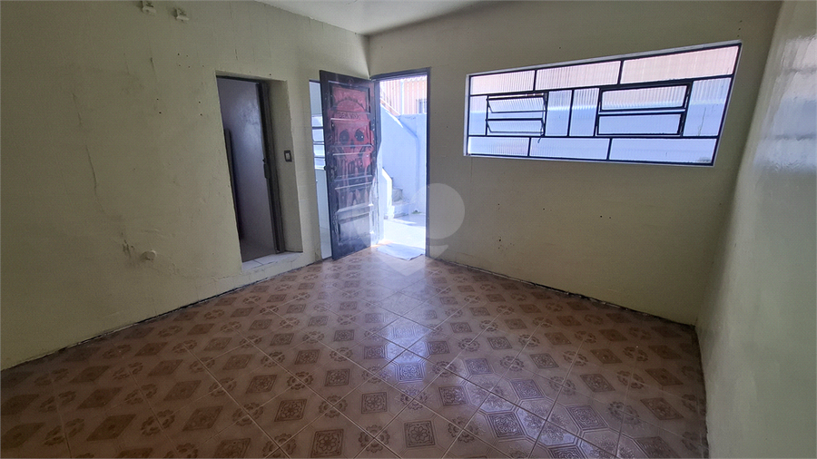 Foto REO1095256