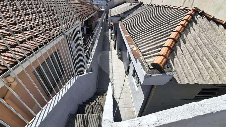 Foto REO1095256