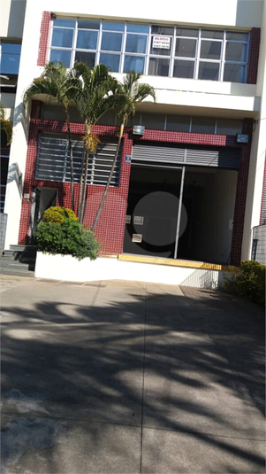Foto REO1095257