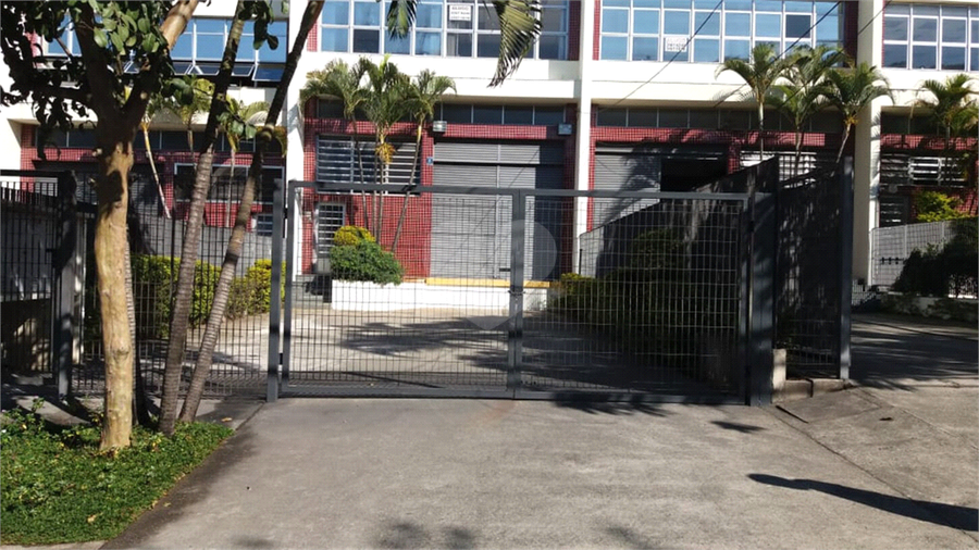 Foto REO1095257
