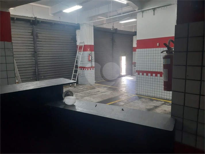 Foto REO1095262