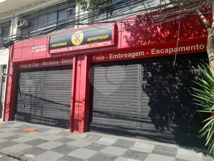 Foto REO1095262