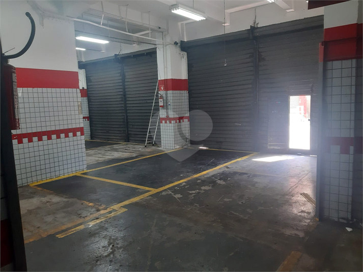 Foto REO1095262