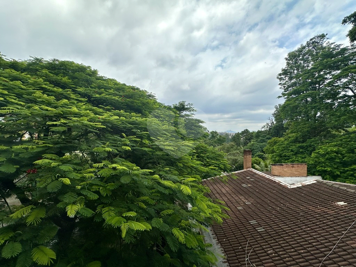 Foto REO1095265