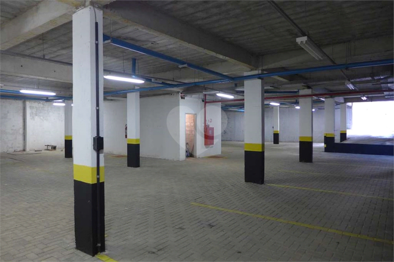 Foto REO1095265