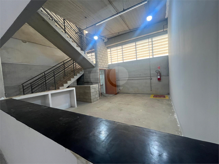 Foto REO1095266