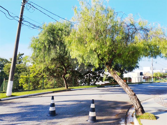 Foto REO1095275