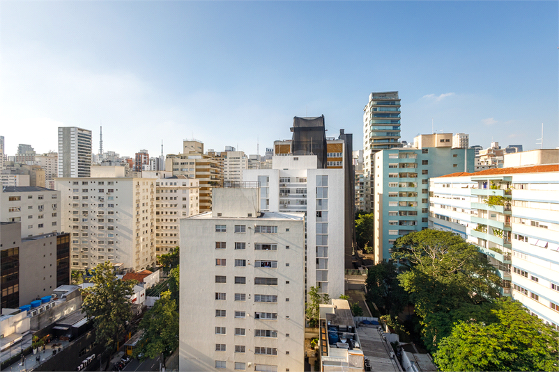 Foto REO1095276