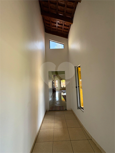 Foto REO1095294