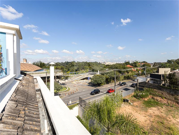 Foto REO1095301