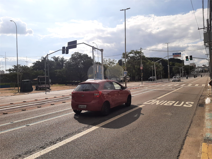 Foto REO1095302