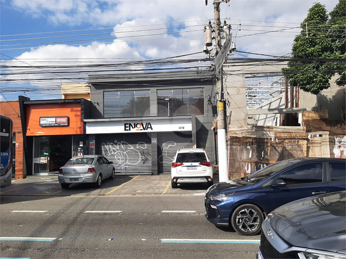Foto REO1095302