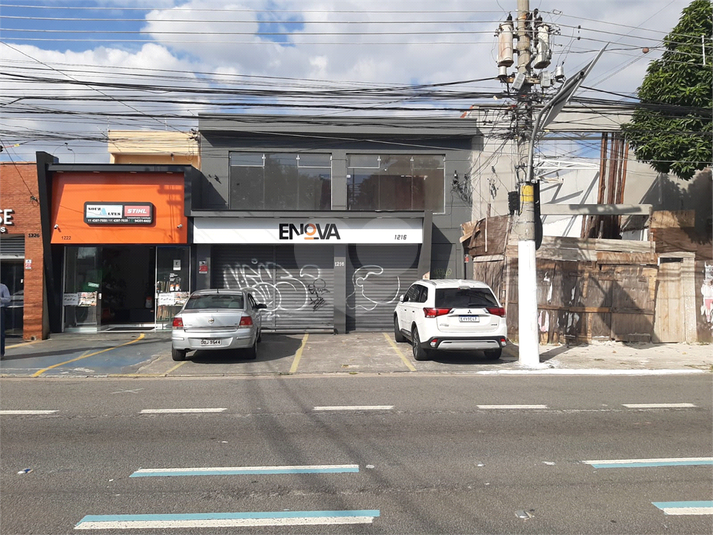 Foto REO1095302