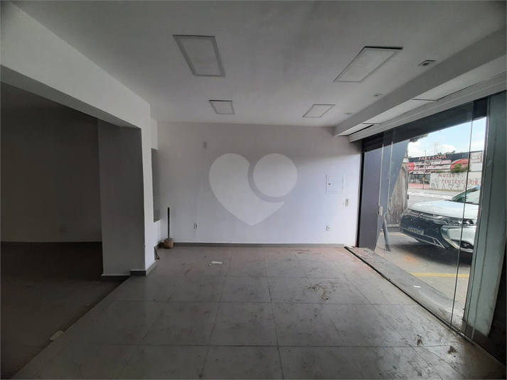 Foto REO1095302
