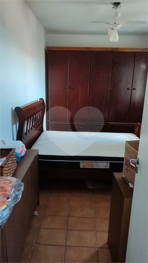 Foto REO1095303