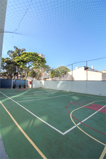 Foto REO1095304