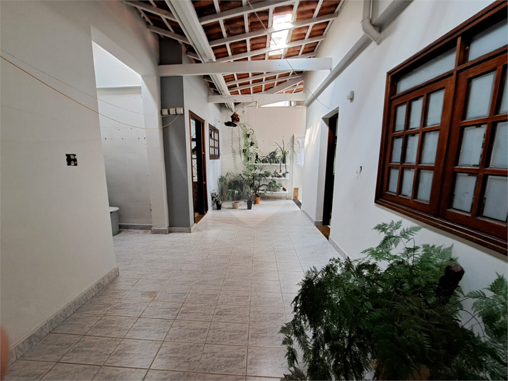 Foto REO1095318