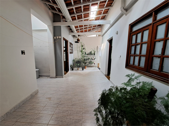 Foto REO1095318