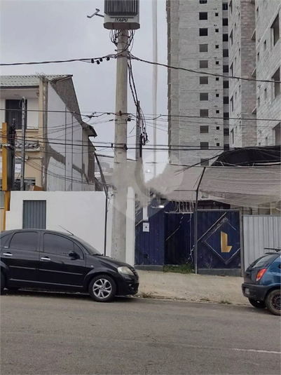 Foto REO1095320