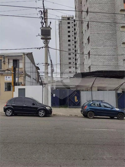 Foto REO1095320