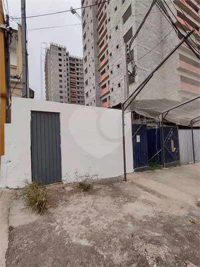 Foto REO1095320