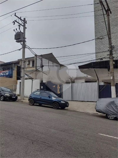 Foto REO1095320