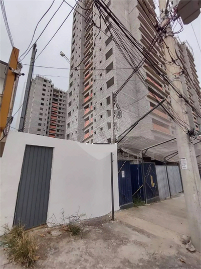 Foto REO1095320