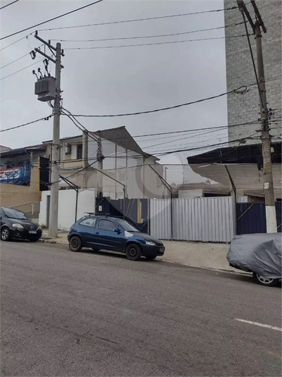 Foto REO1095320