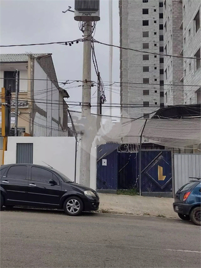 Foto REO1095320
