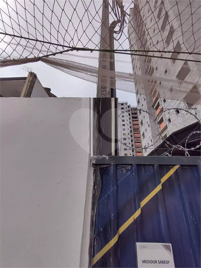 Foto REO1095320