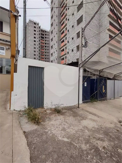 Foto REO1095320