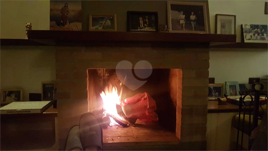 Foto REO1095327