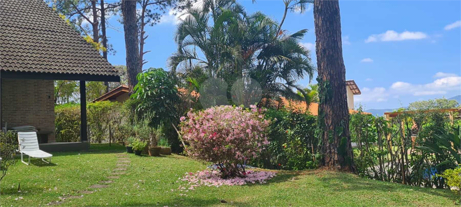 Foto REO1095327