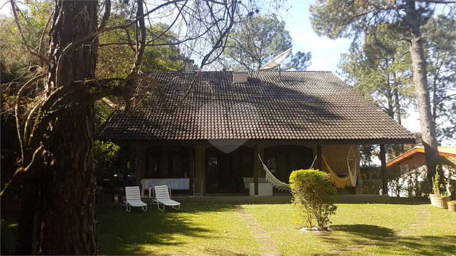 Foto REO1095327