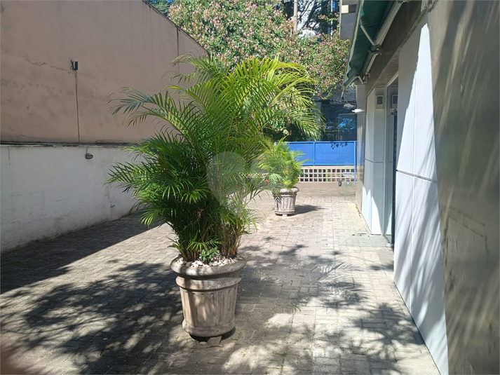 Foto REO1095330