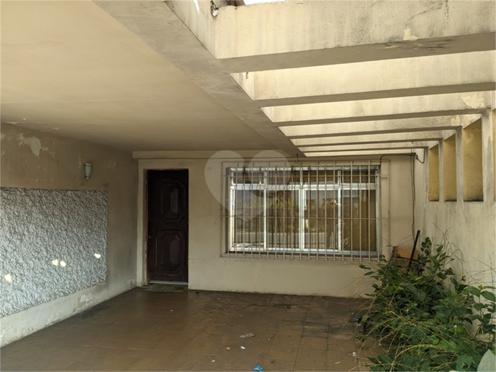 Foto REO1095334