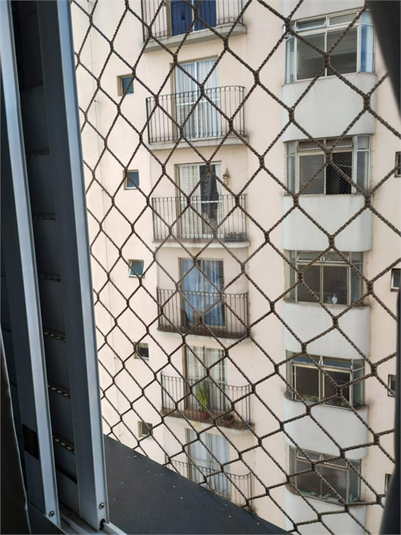 Foto REO1095338