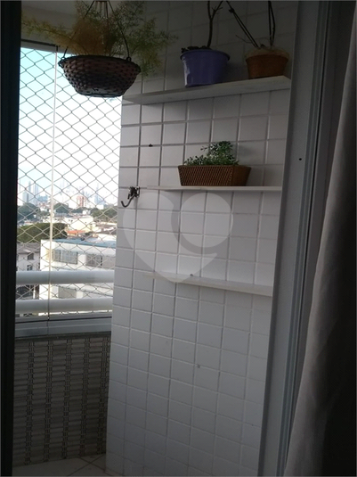 Foto REO1095338