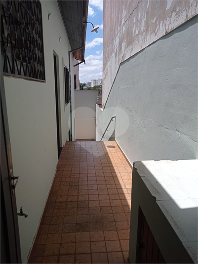 Foto REO1095339