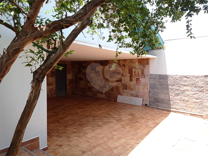 Foto REO1095339